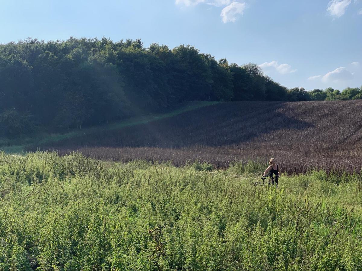 Ferienzimmer Suhrer Seeblick Plon Bagian luar foto